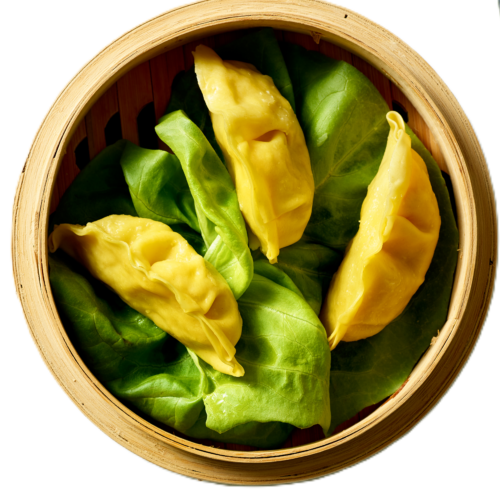 Gyoza Chicken