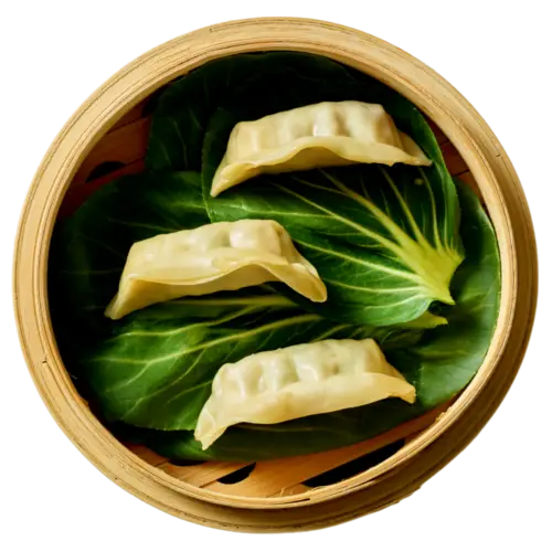 Gyoza Vegetable